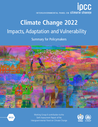 IPCC (2022) Sixth Assessment Report: Impacts, Adaptation and Vulnerability - overview