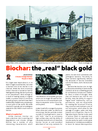 PIN (2021) Biochar "The real black gold" - overview