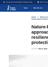 PIN (2024) Nature-based Solutions examples at PIN - overview