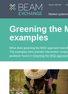 BEAM EXCHANGE (2023) Greening MSD examples - overview