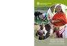 FAO (2016) Farmer Field Schools Guidance Document - Planning for quality programmes - overview