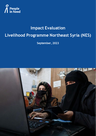 PIN (2023) - Impact Evaluation Livelihood Programme Northeast Syria (NES) - overview