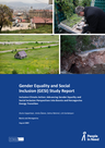 PIN (2025) Gender Equality and Social Inclusion (GESI) Study Report - overview