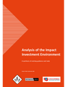 PIN (2020) Analysis of the Impact Investment Environment - overview